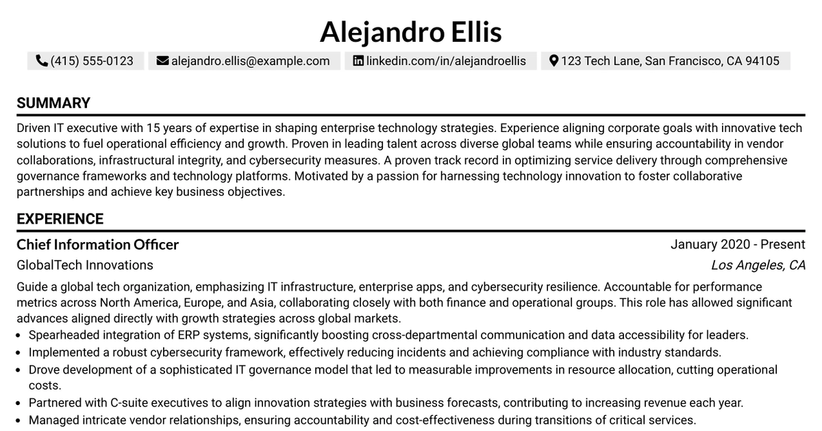 7 Chief Information Officer Resume Templates with Example
