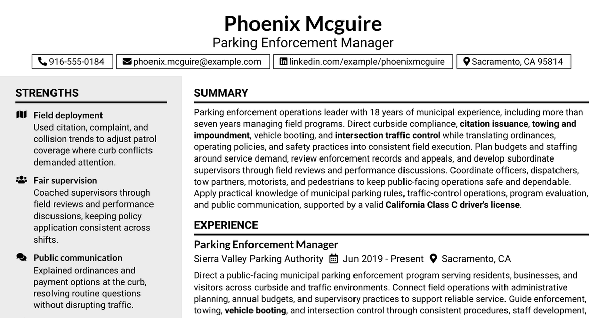 7 Chief of Parking Enforcement Operations Resume Templates with Example