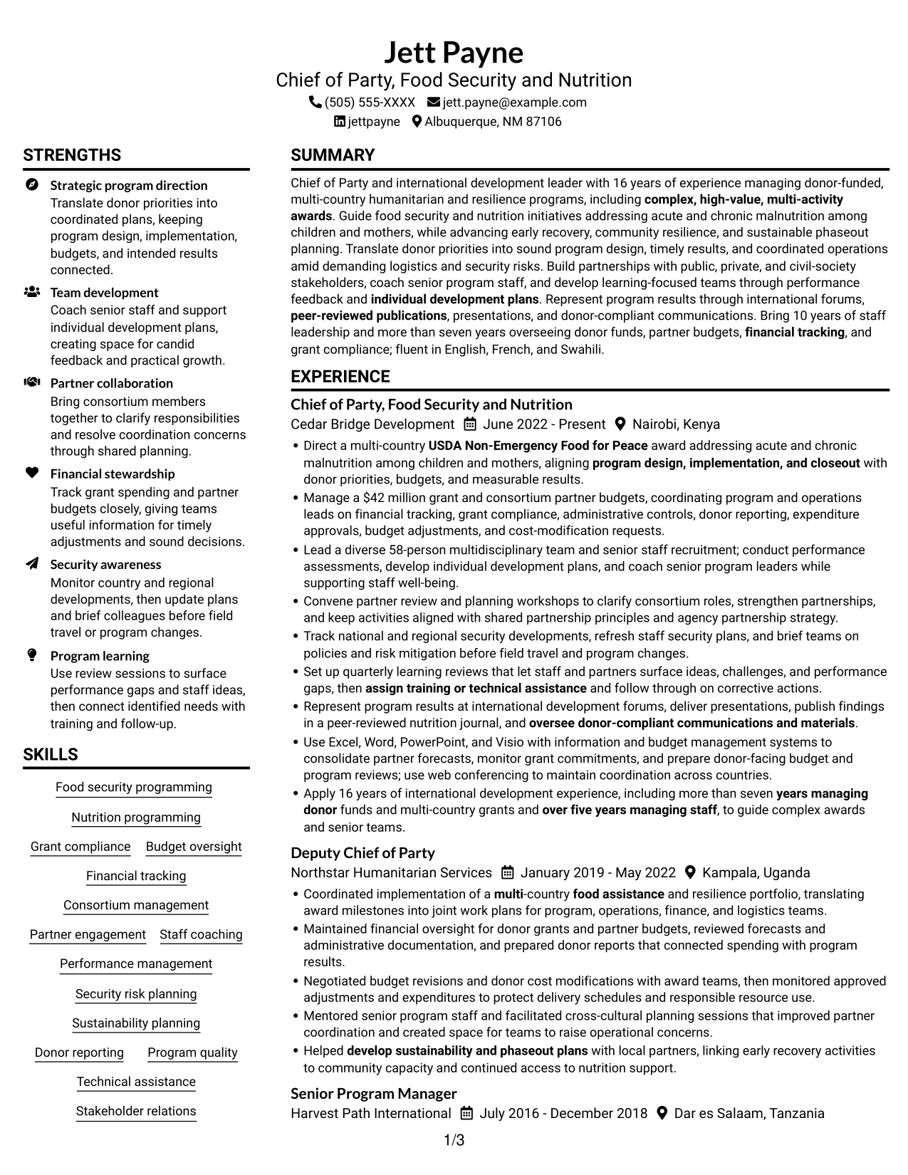 Resume example — page 1