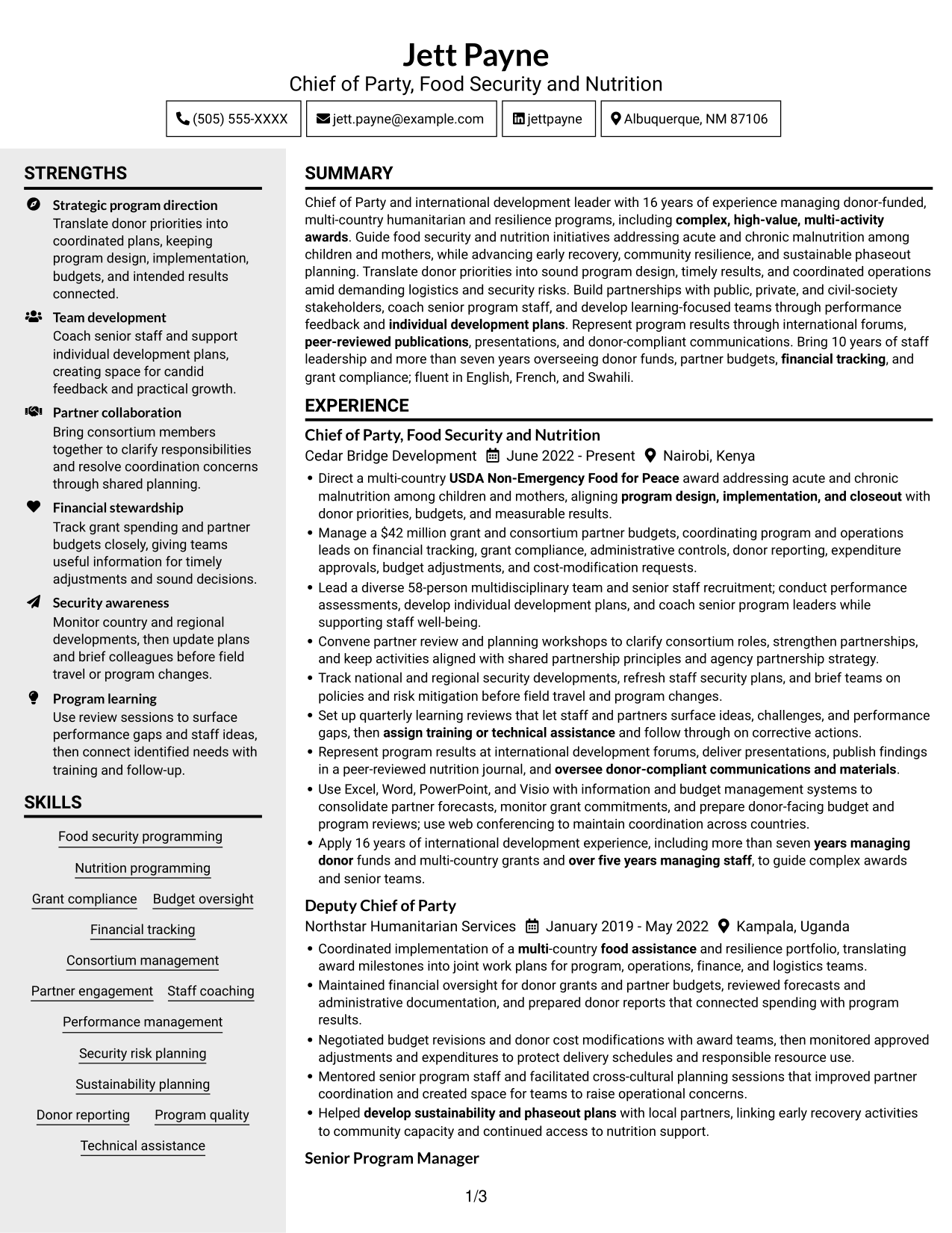 Resume example — page 1