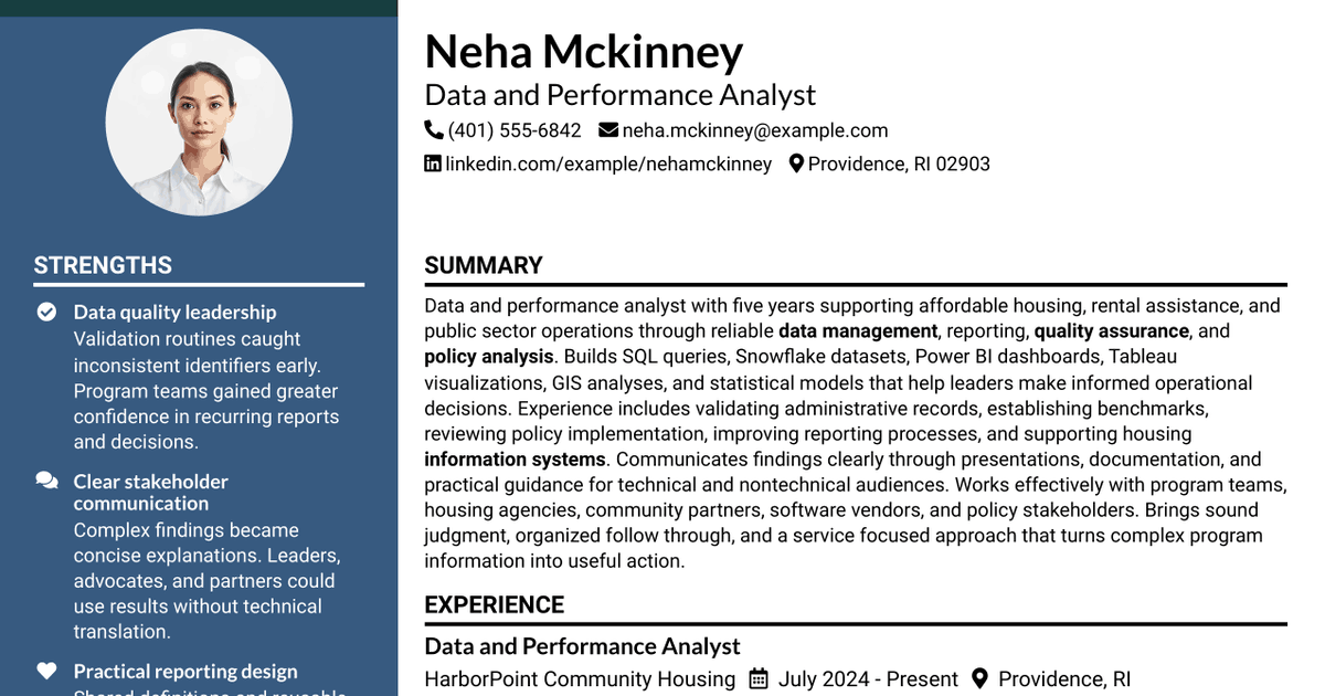 7 Data & Performance Analyst Resume Templates with Example