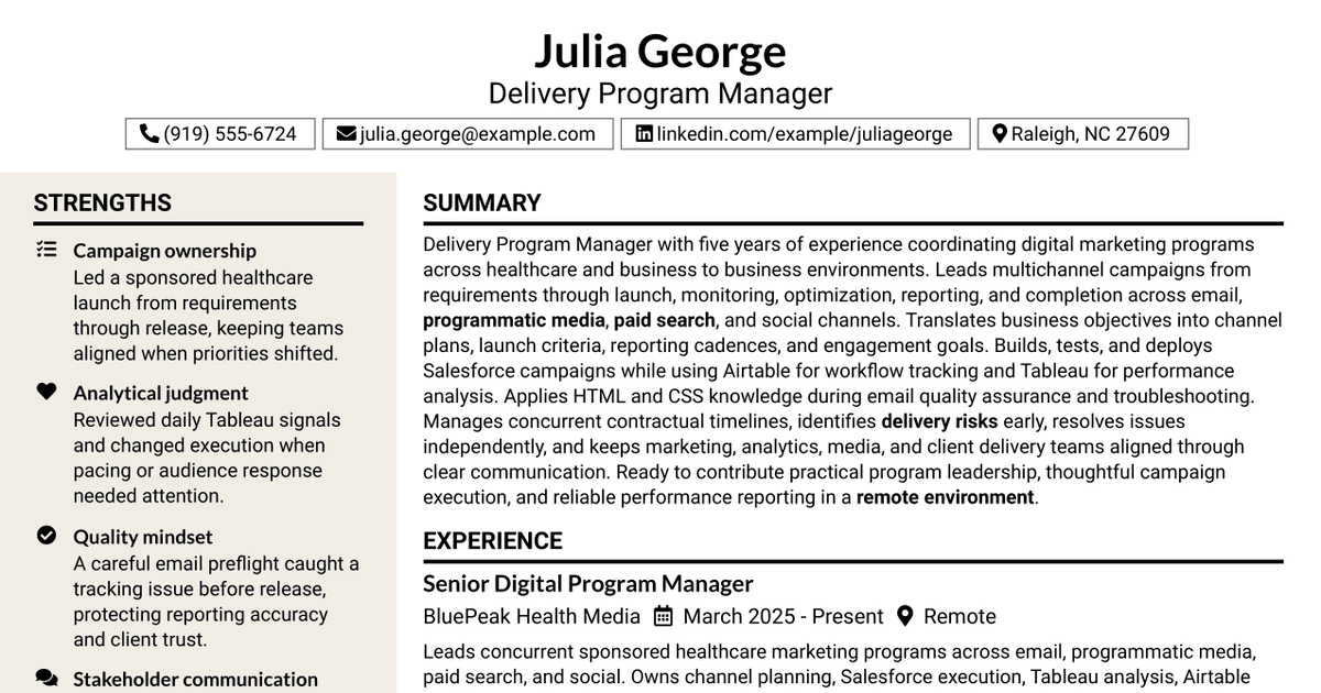 7 Delivery Program Manager Resume Templates with Example