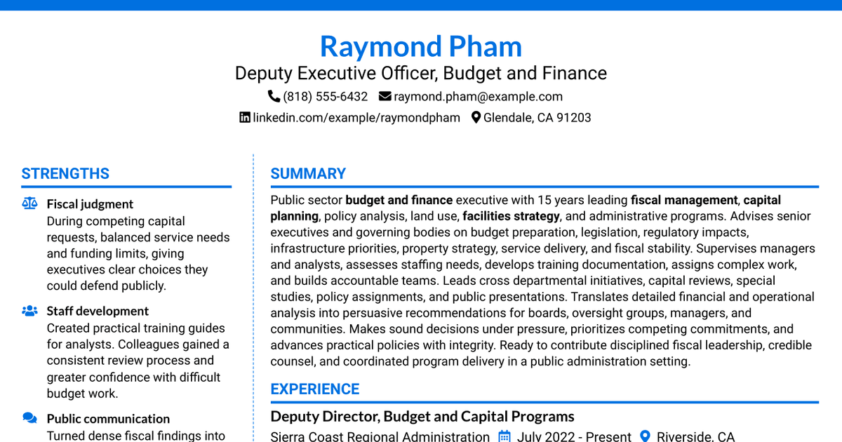 7 Deputy Executive Officer - Budget and Finance Resume Templates with Example