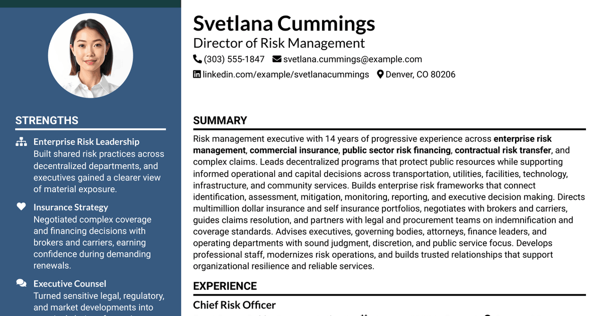 7 Director of Risk Management Resume Templates with Example