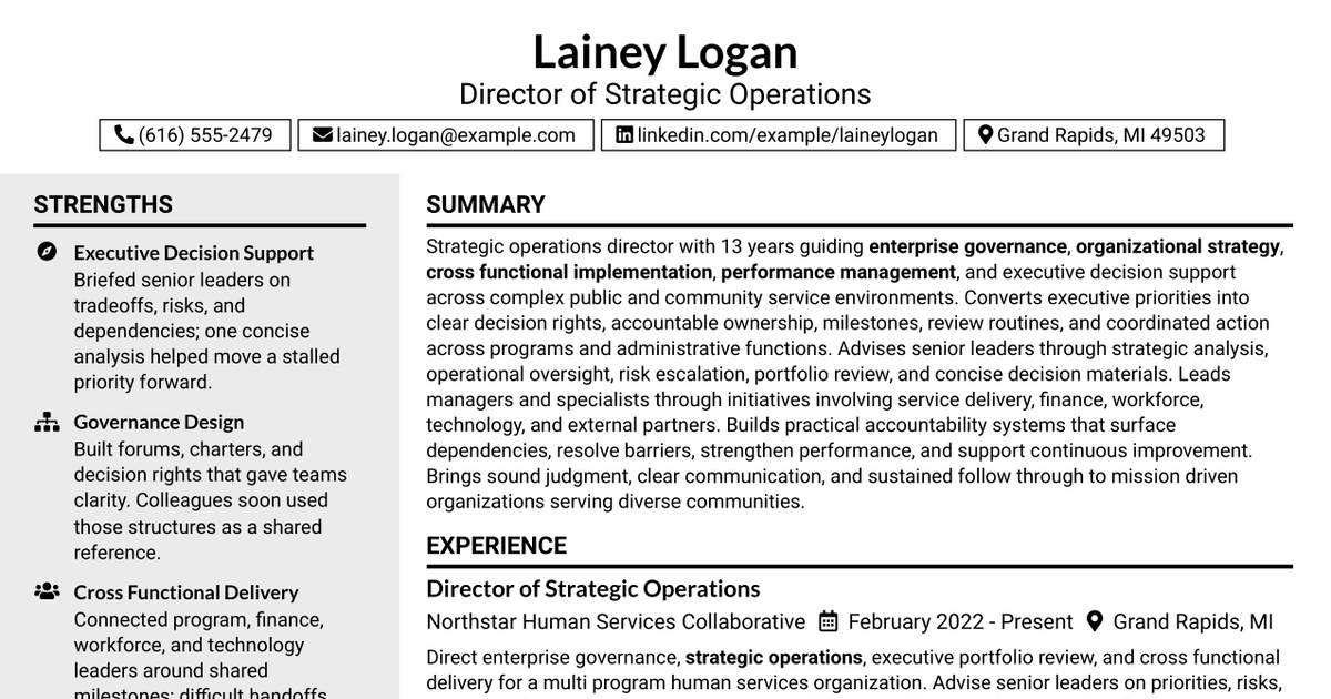 7 Director of Strategic Operations Resume Templates with Example