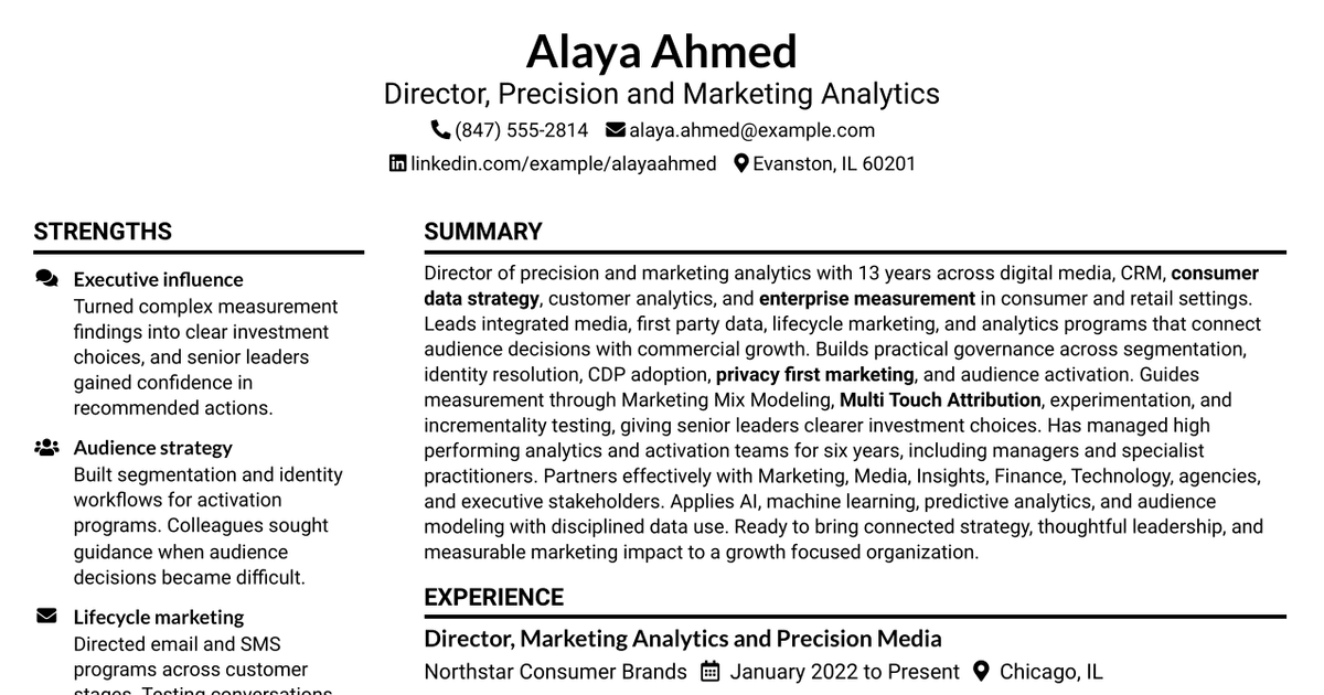 7 Director Precision & Marketing Analytics Resume Templates with Example