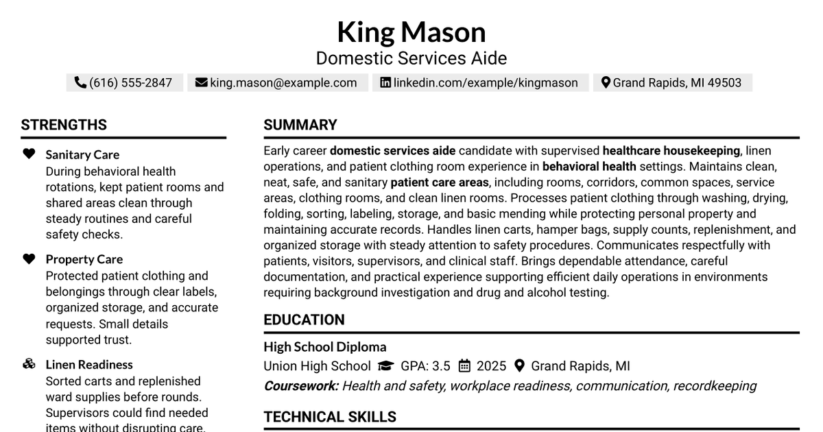 7 Domestic Services Aide Resume Templates with Example