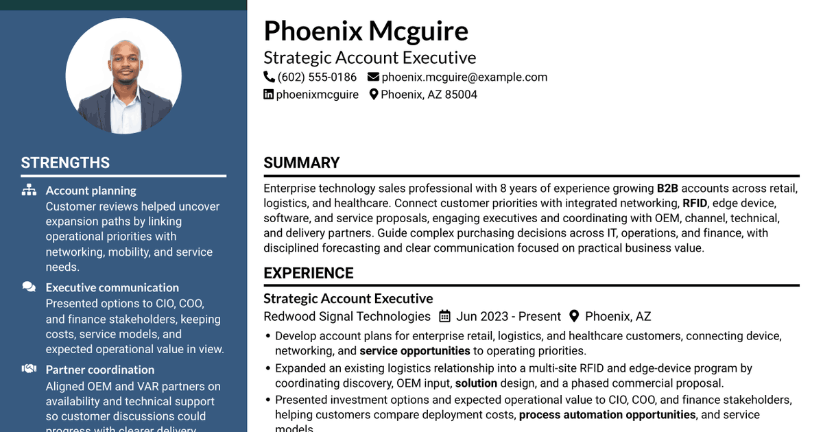 7 Enterprise Account Executive - IT Solutions Resume Templates with Example