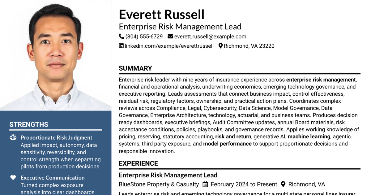 7 Enterprise Risk Management Lead Resume Templates with Example
