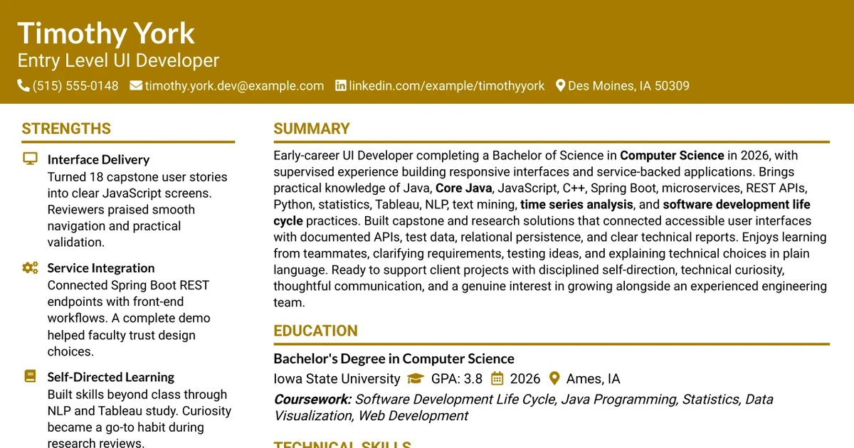 33 Entry Level UI Developer Resume Templates with Example