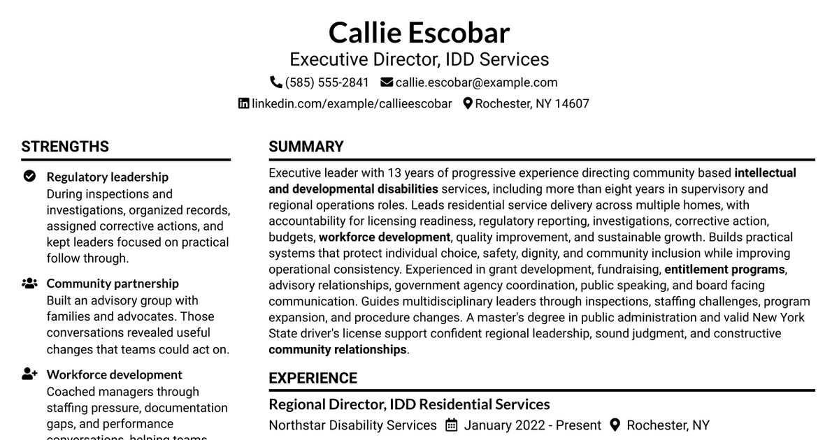 7 Executive Director - IDD Services Resume Templates with Example