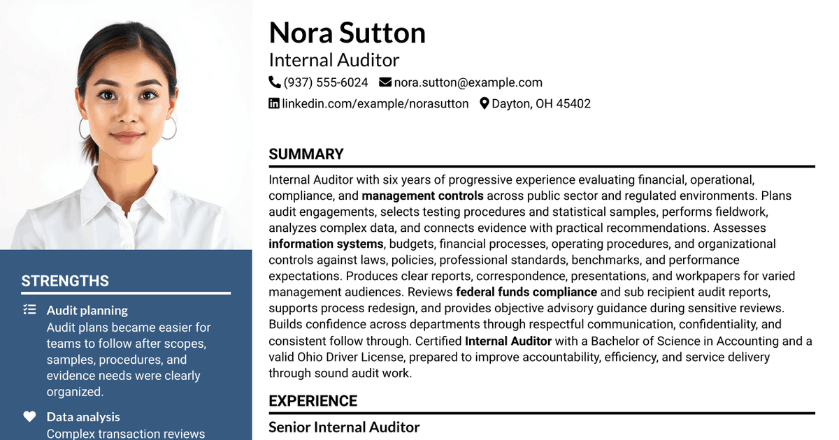 7 Internal Auditor Resume Templates with Example