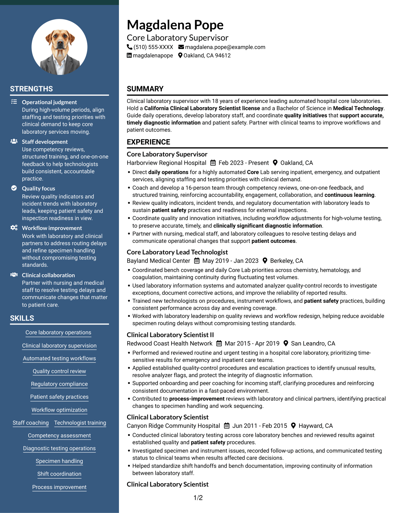 Resume example — page 1
