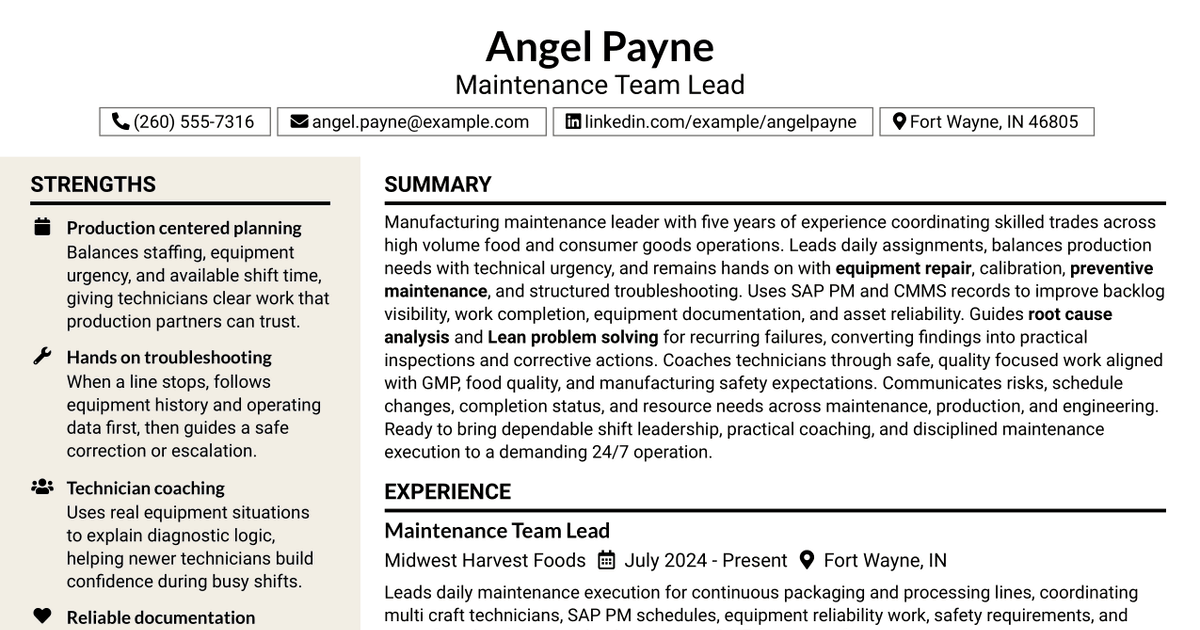 7 Maintenance Team Lead Resume Templates with Example