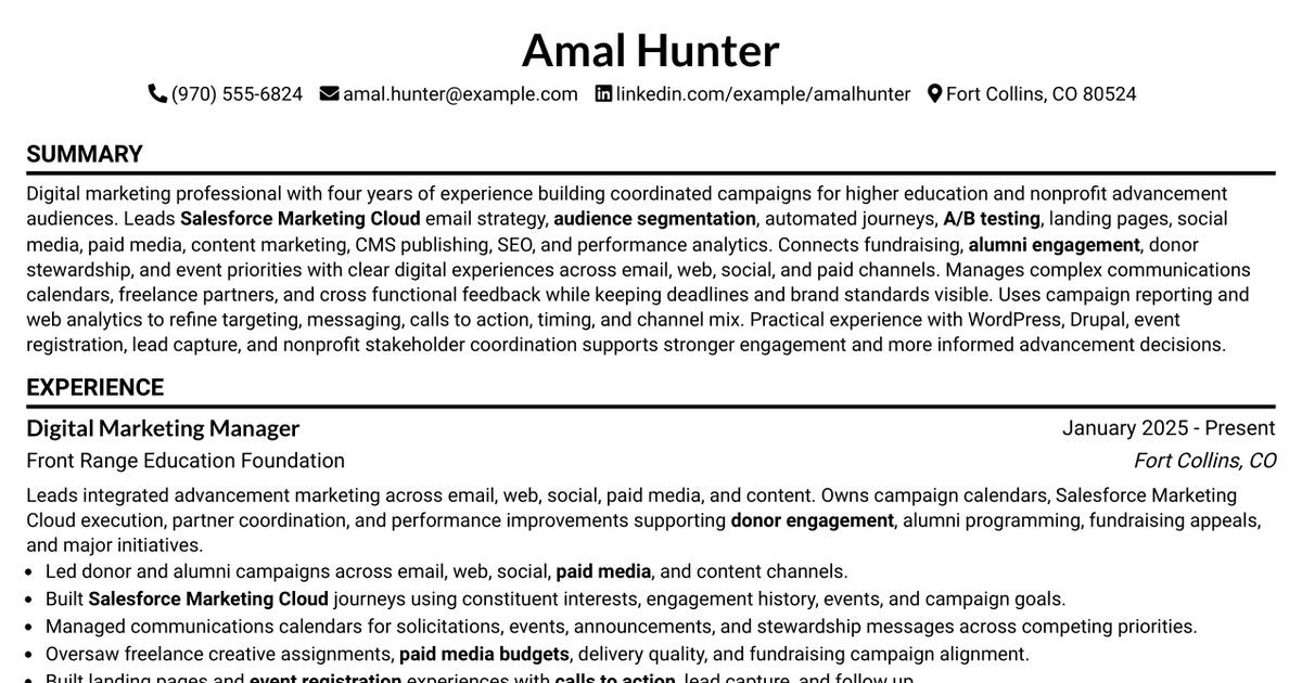 7 Manager, Advancement Digital Marketing Resume Templates with Example