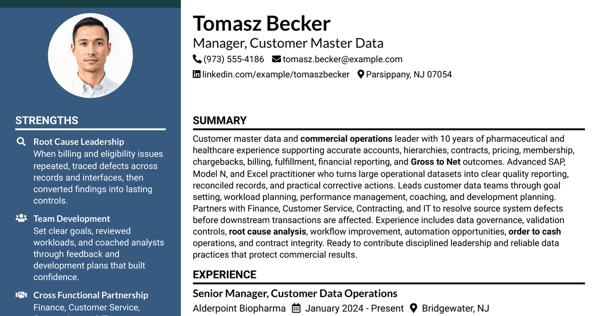 7 Manager, Customer Master Data Resume Templates with Example