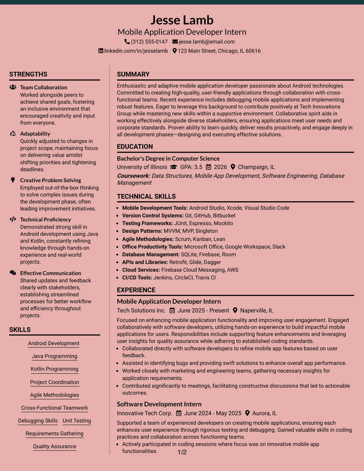 Resume Example Page 1