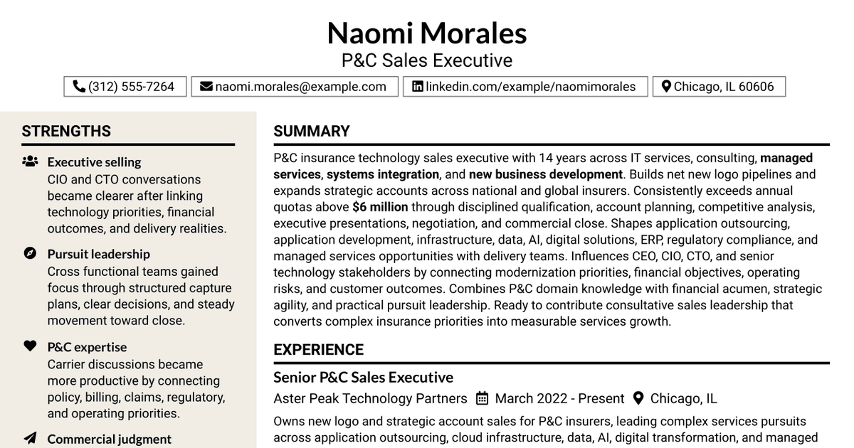 7 P&C Sales Executive Resume Templates with Example