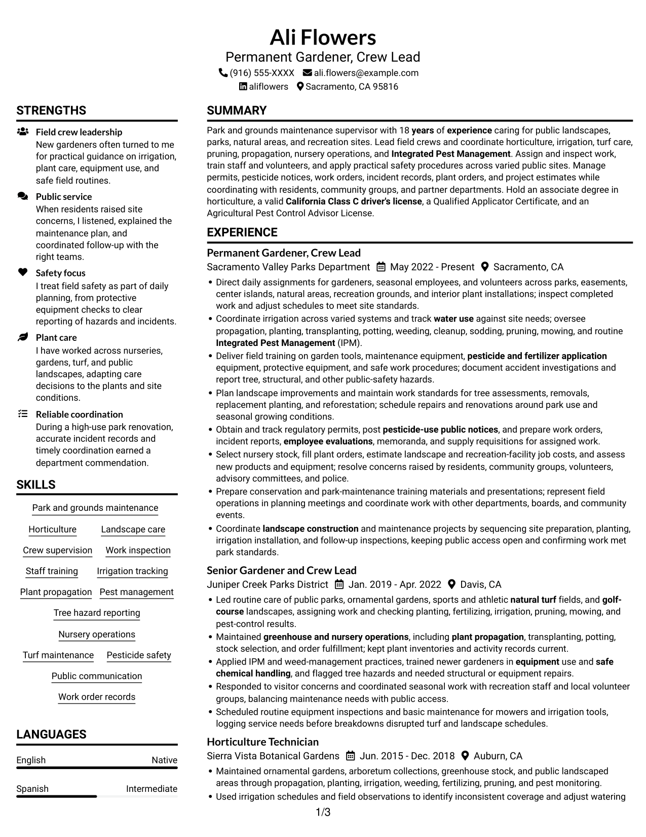 Resume example — page 1
