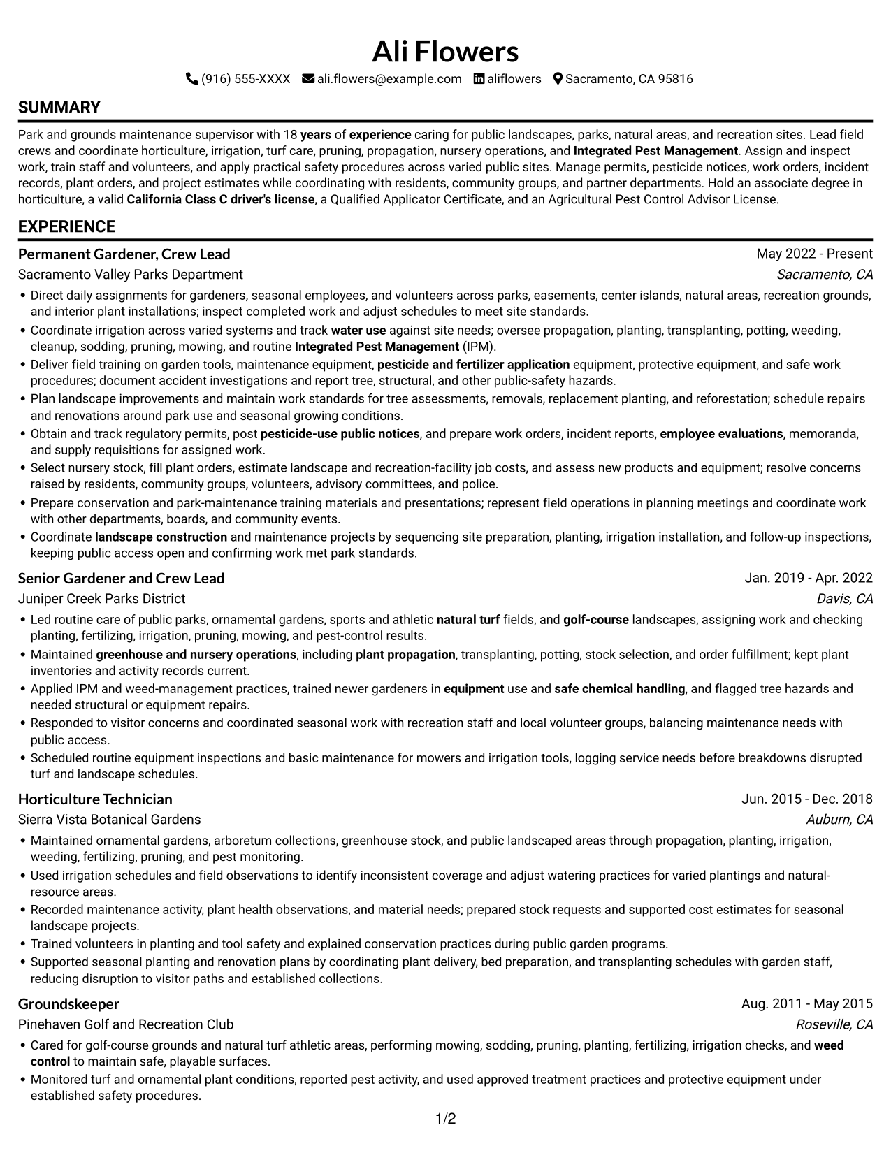 Resume example — page 1