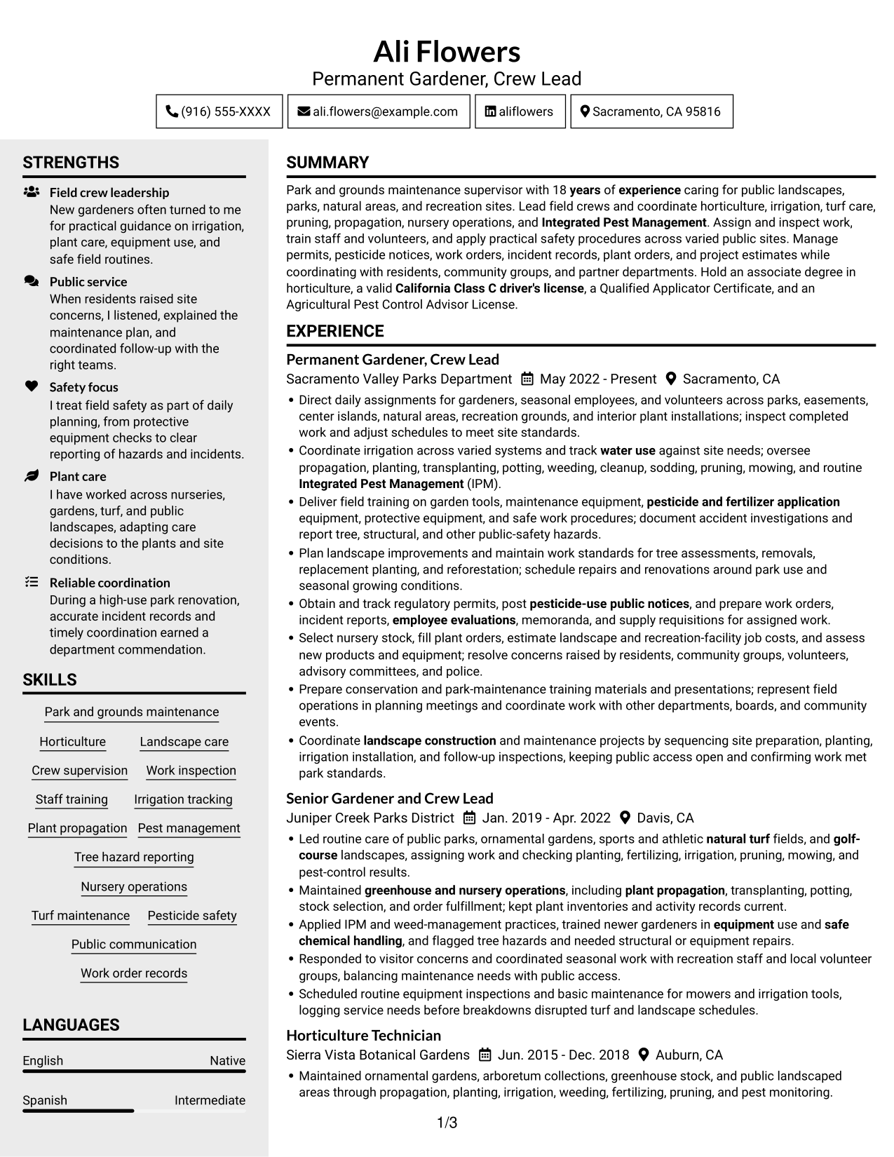 Resume example — page 1