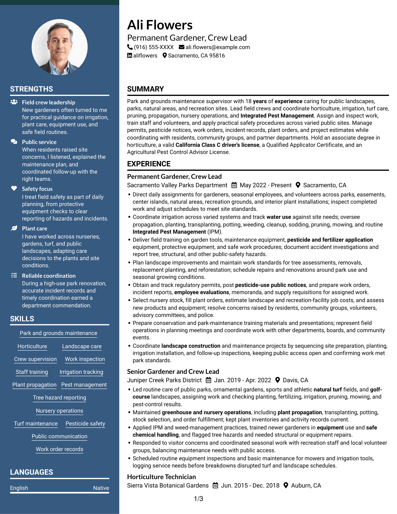 Resume example — page 1