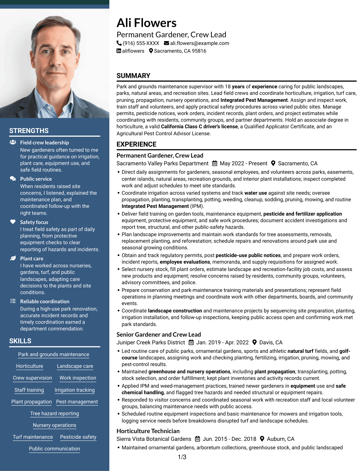 Resume example — page 1