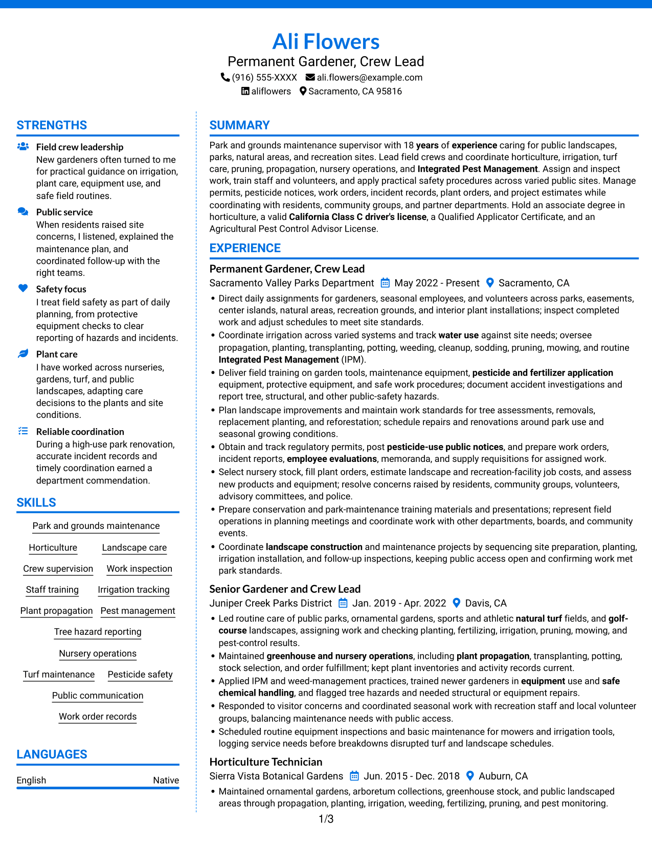 Resume example — page 1