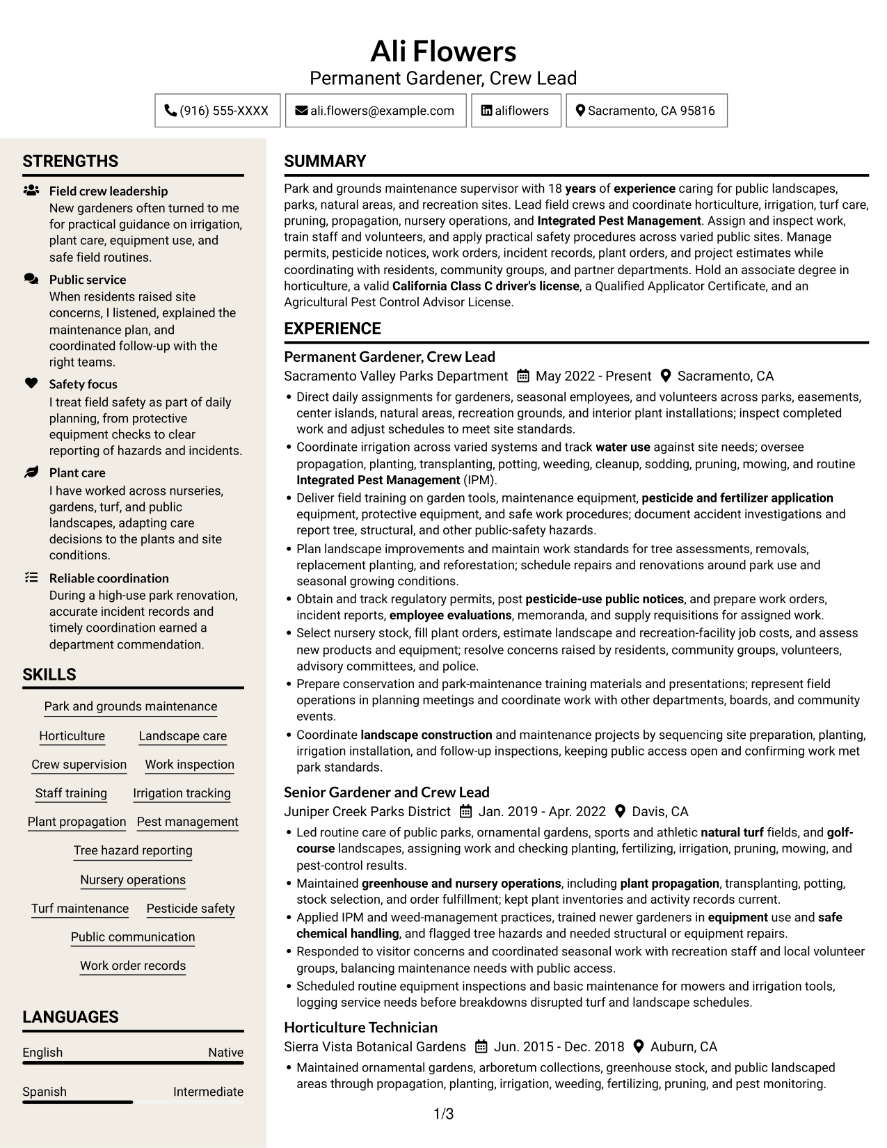 Resume example — page 1