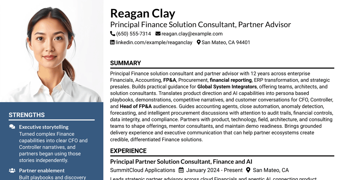 7 Partner AI Solution Consultant Advisor - oCFO Resume Templates with Example