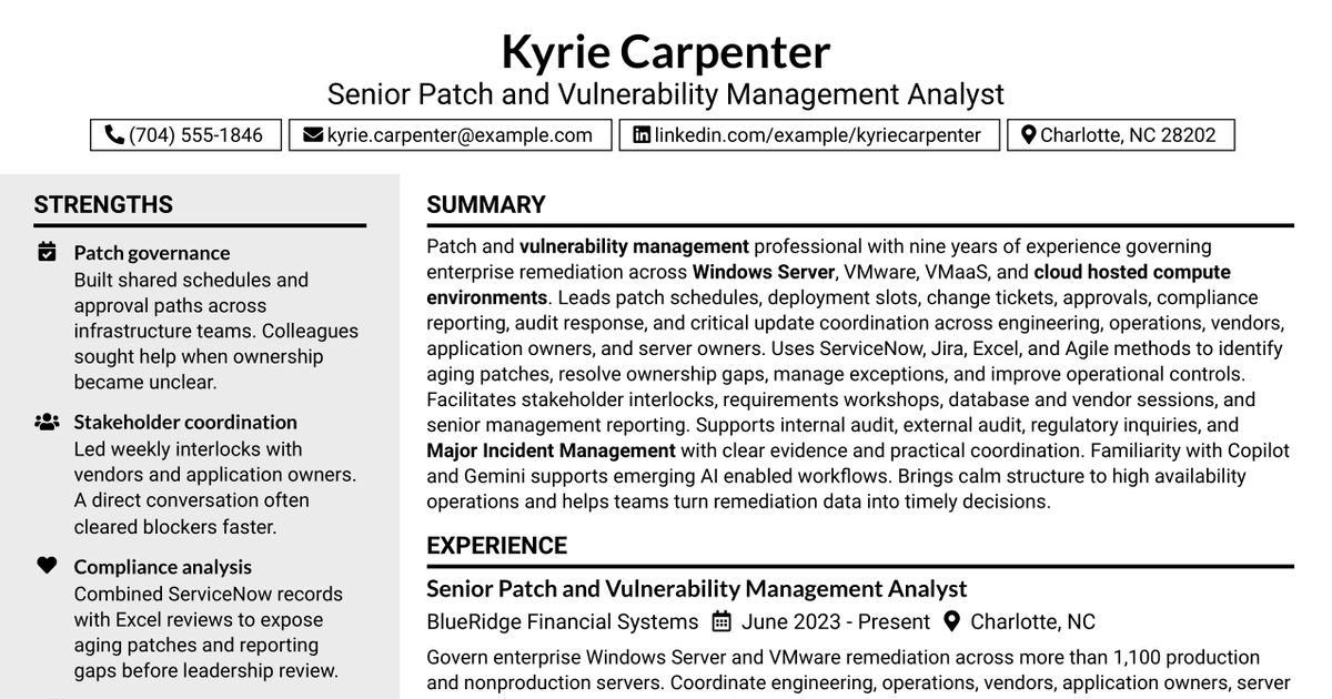 7 Patch and Vulnerability Management Resume Templates with Example