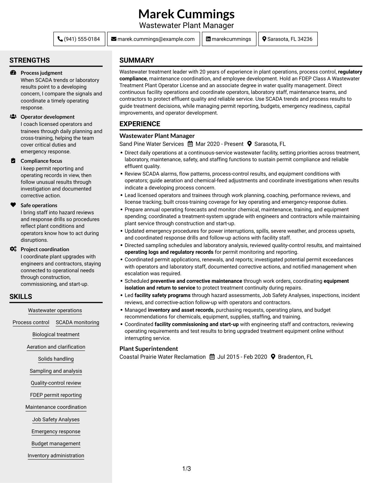 Resume example — page 1