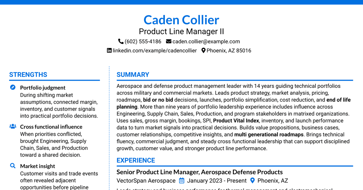 7 Product Line Manager II Resume Templates with Example