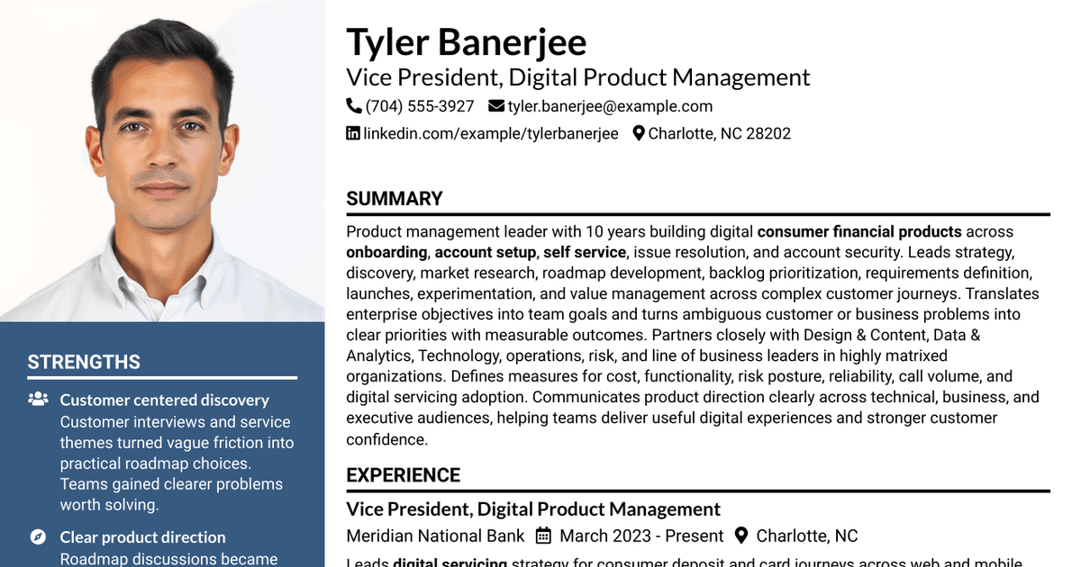 7 Product Manager, Vice President - Manage & Service Resume Templates with Example