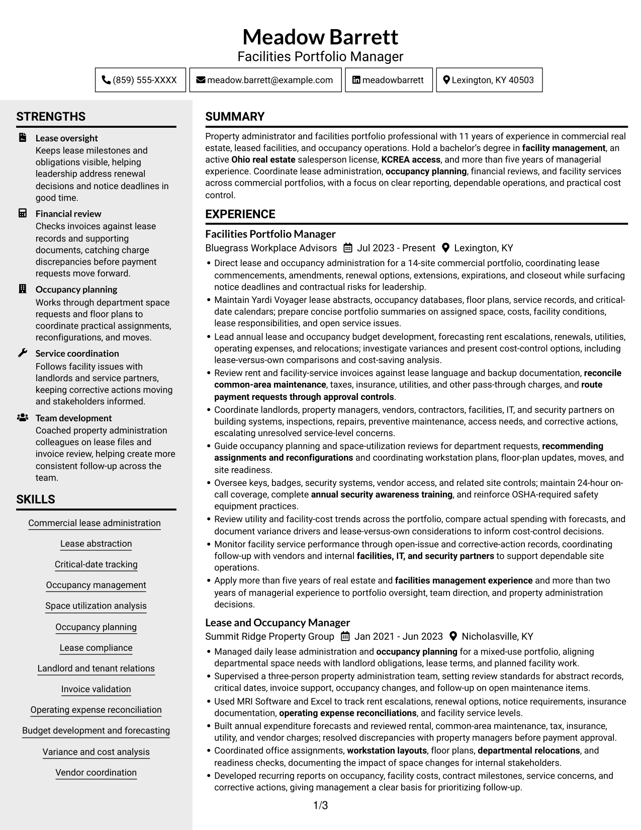 Resume example — page 1
