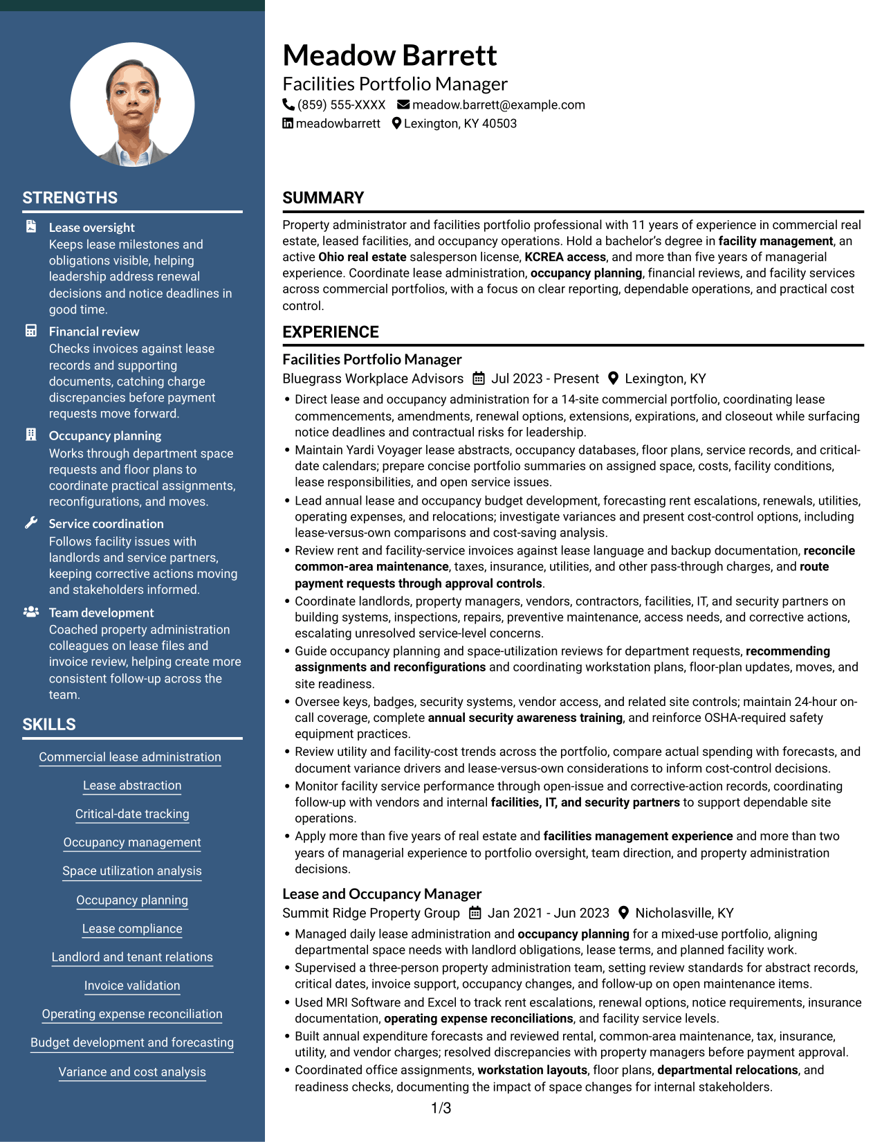 Resume example — page 1
