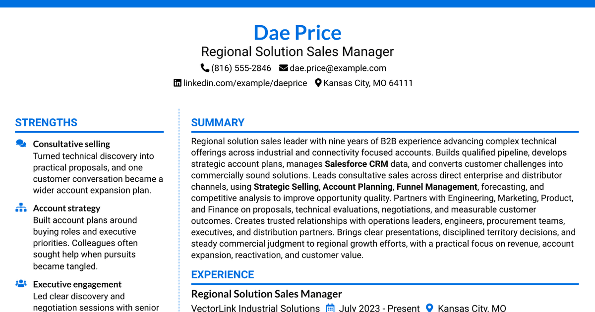 7 Regional Solution Sales Manager Resume Templates with Example