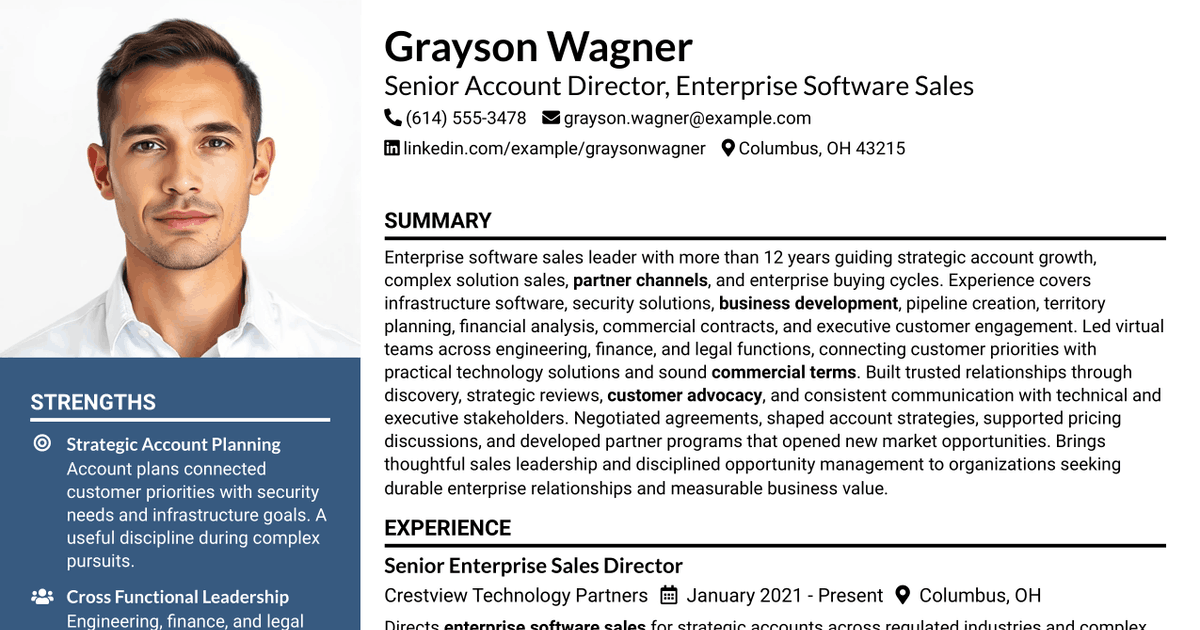 7 Senior Account Director - Enterprise Software Sales Resume Templates with Example