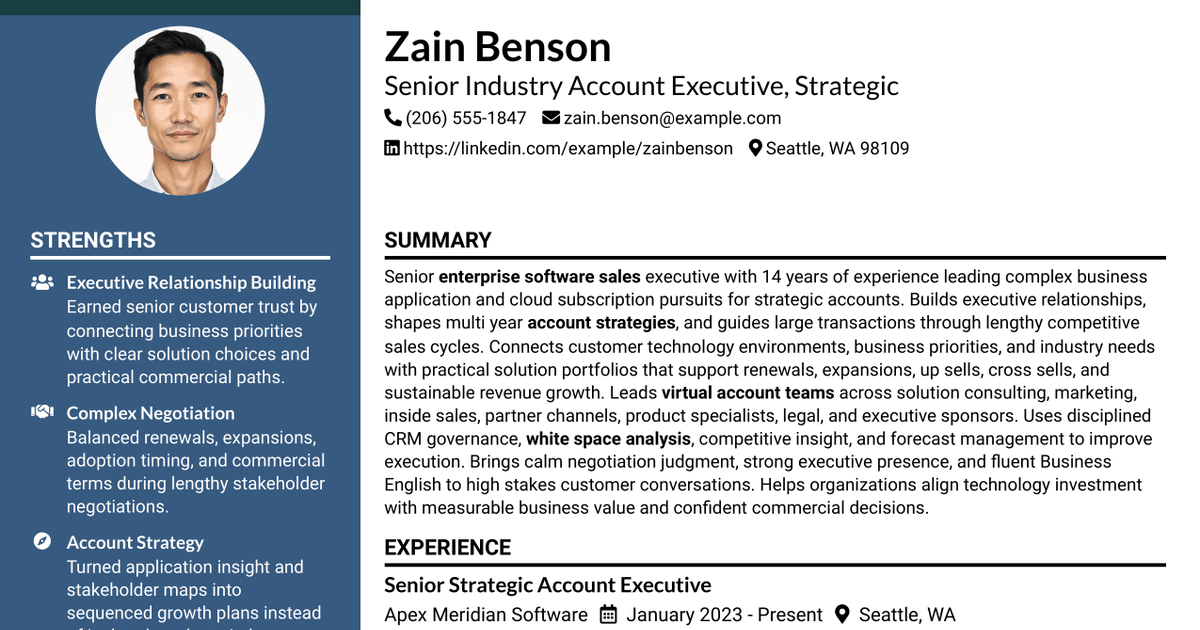 7 Senior Industry Account Executive - Strategic (SCP) Resume Templates with Example