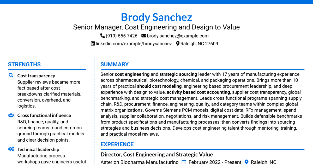7 Senior Manager, Cost Engineering/DtV Resume Templates with Example