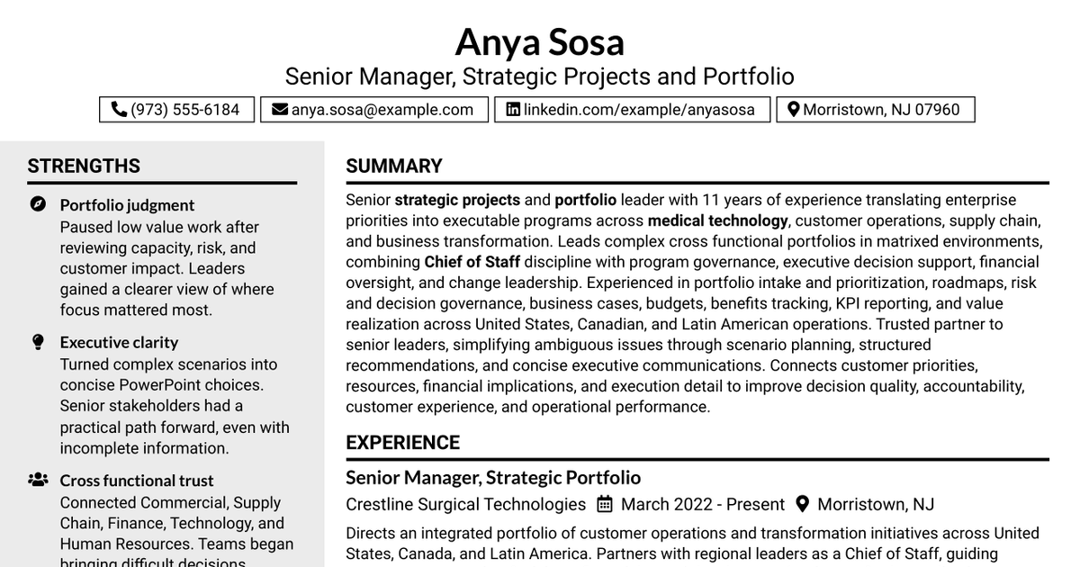 7 Senior Manager, Strategic Projects & Portfolio Resume Templates with Example