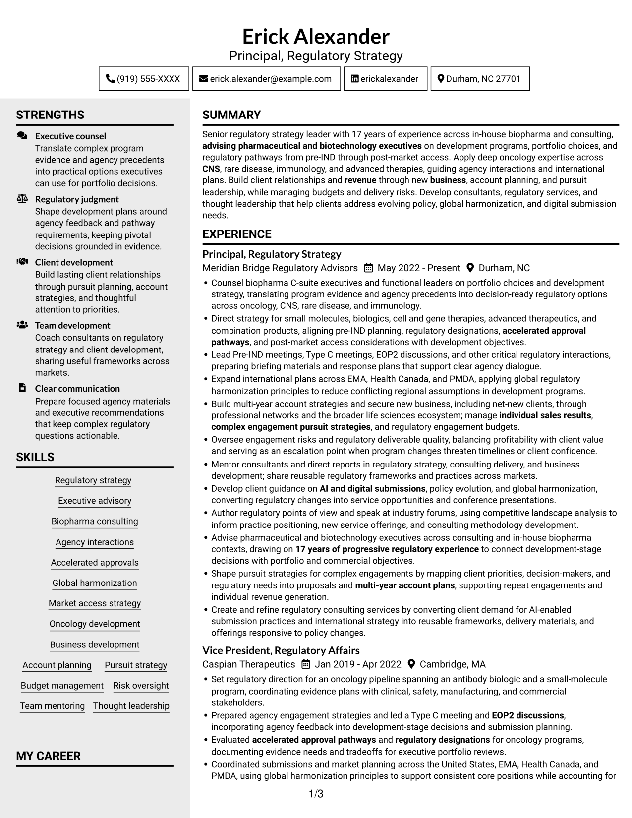 Resume example — page 1