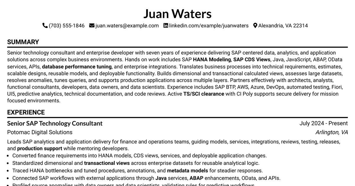 7 Senior Technology Consultant - Developer Resume Templates with Example