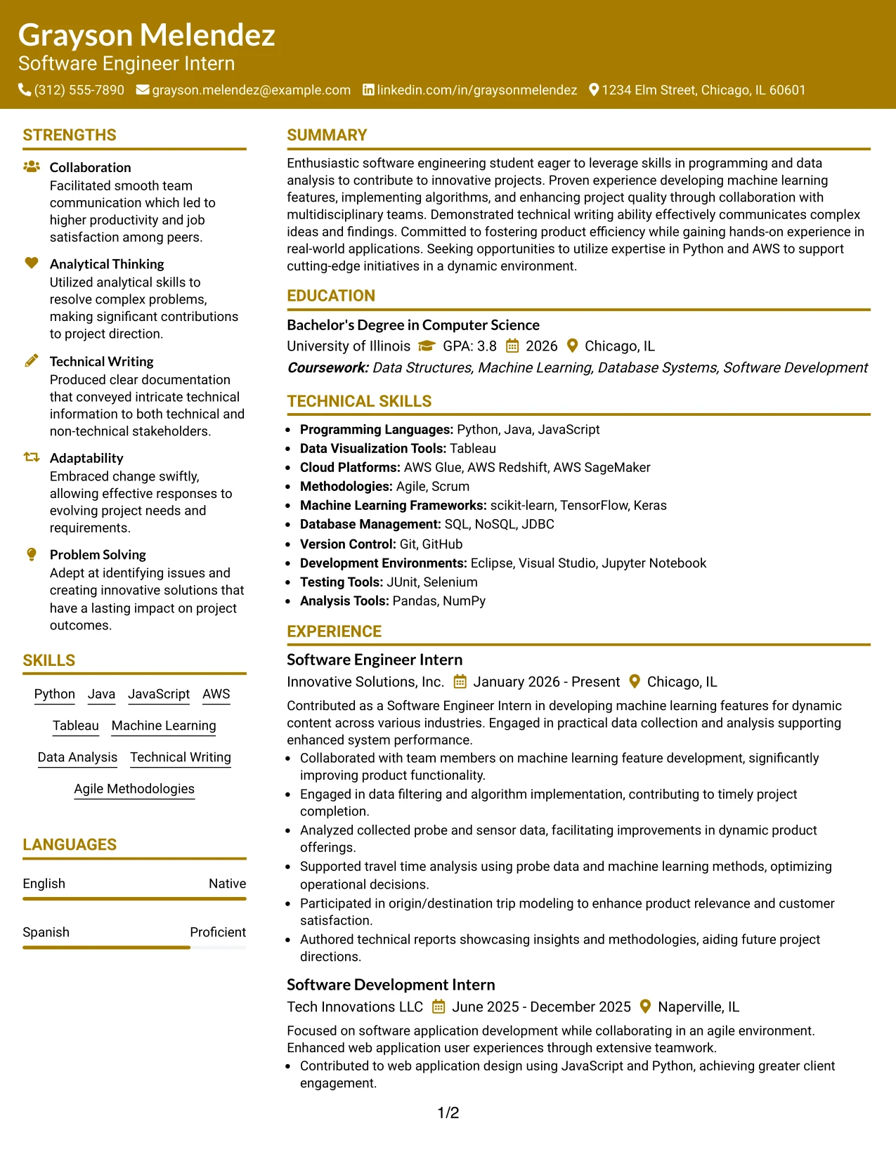 Resume Example Page 1