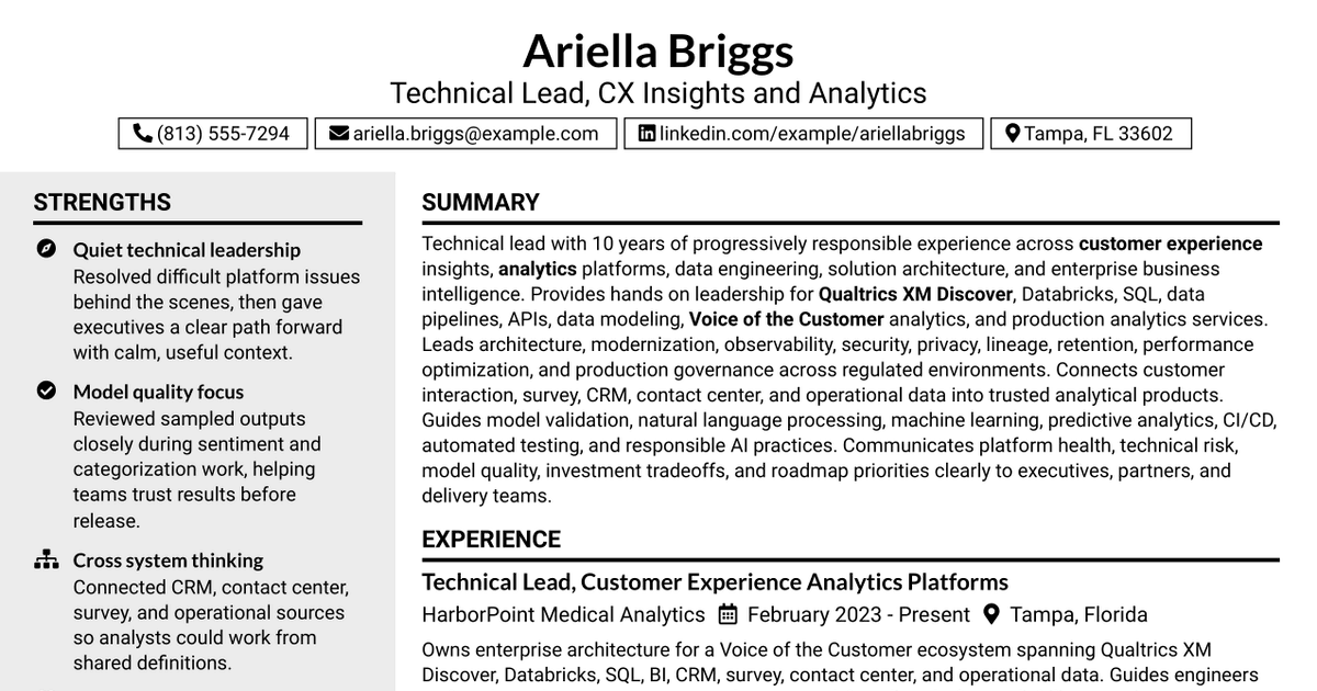7 Technical Lead, CX Insights & Analytics Resume Templates with Example