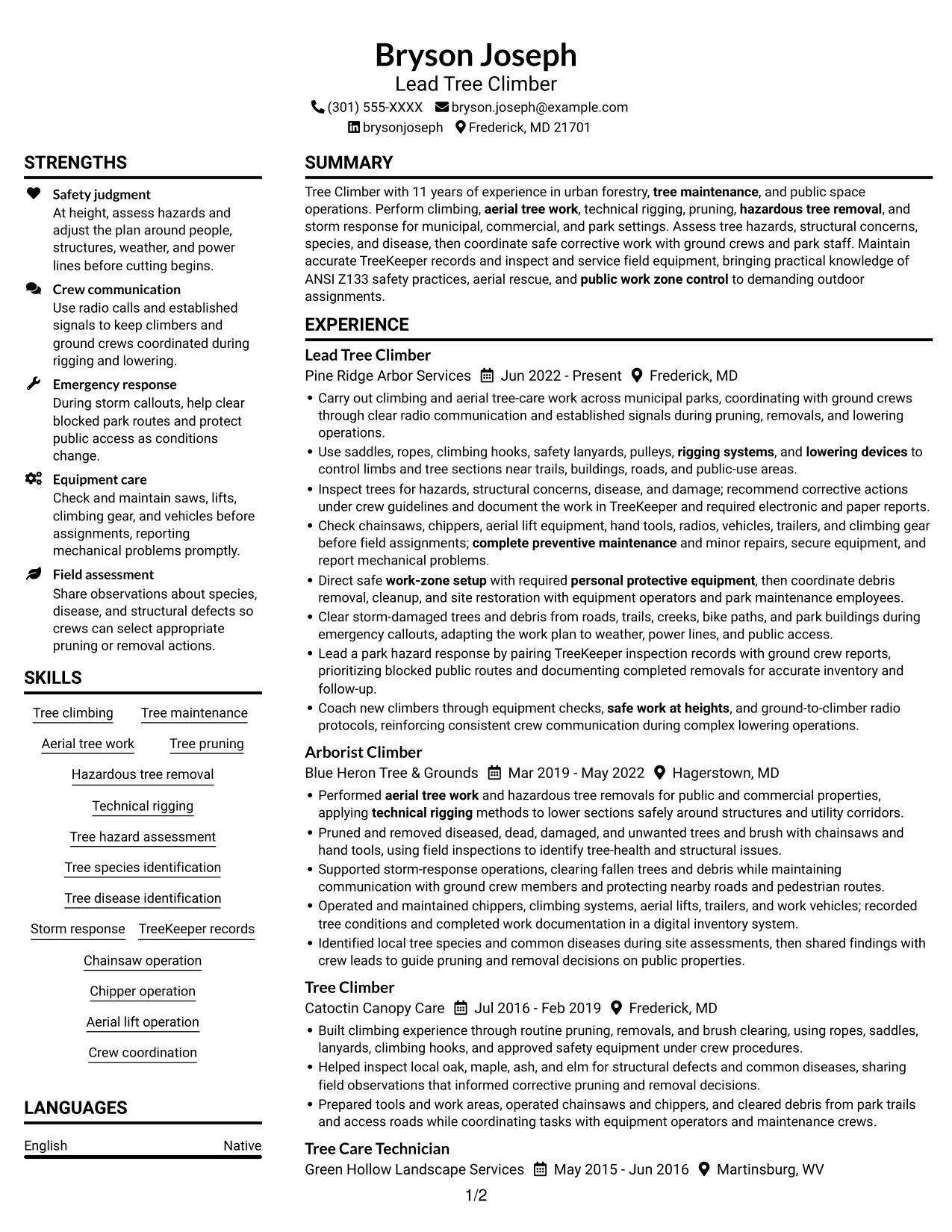 Resume example — page 1