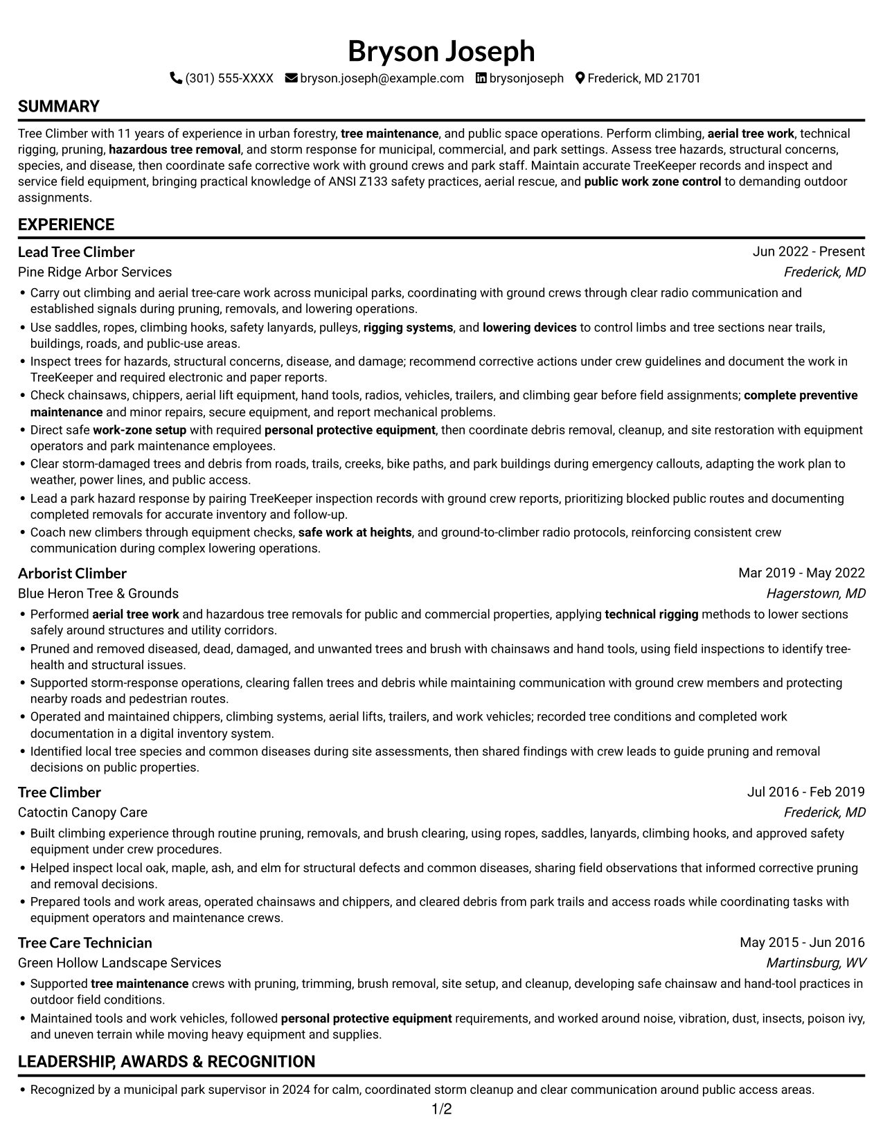 Resume example — page 1