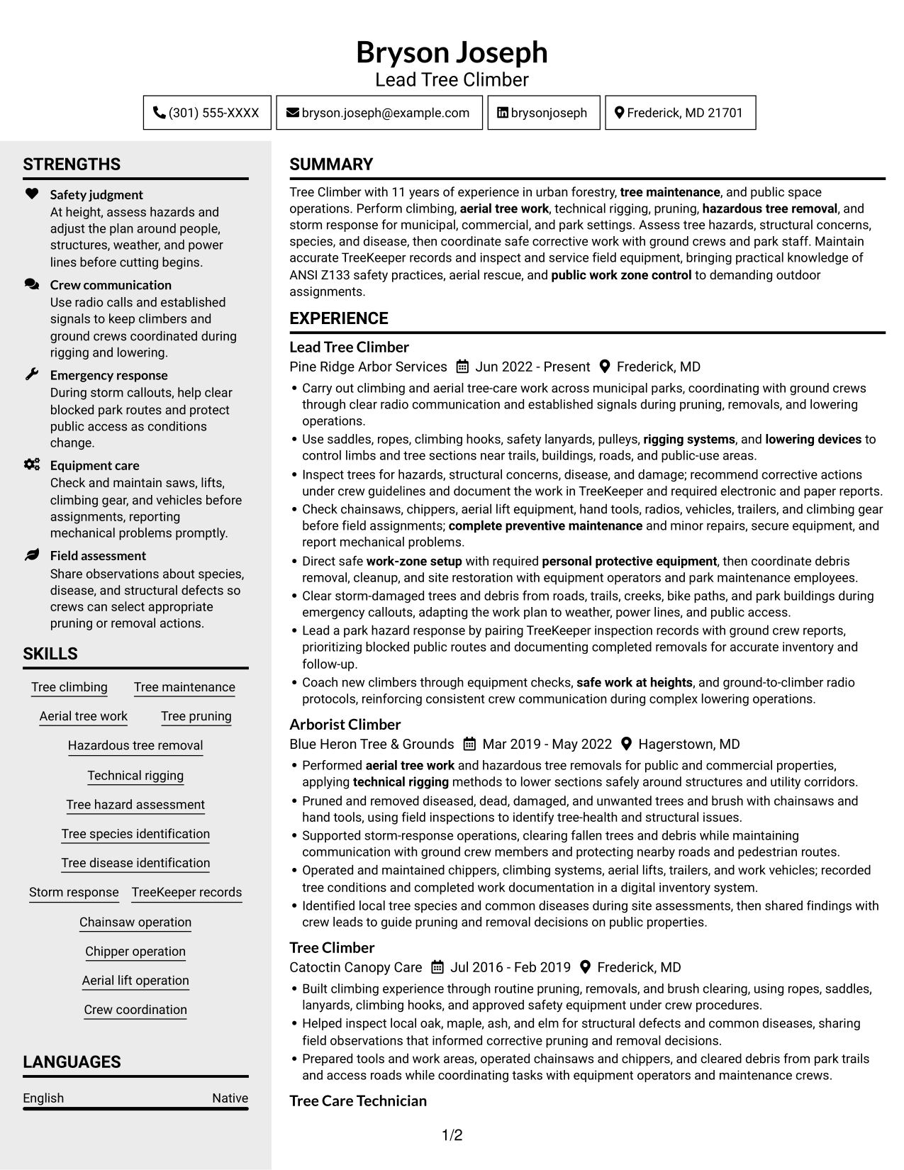 Resume example — page 1