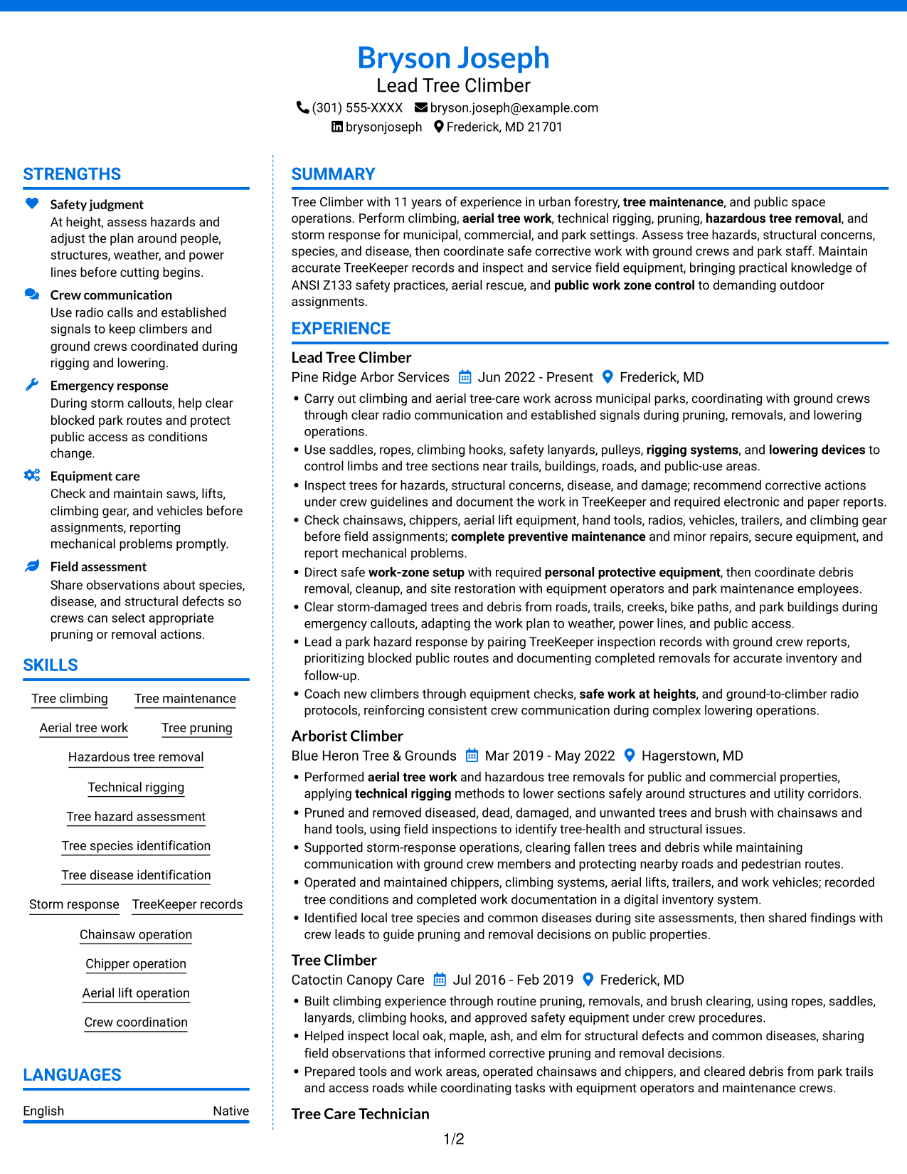 Resume example — page 1