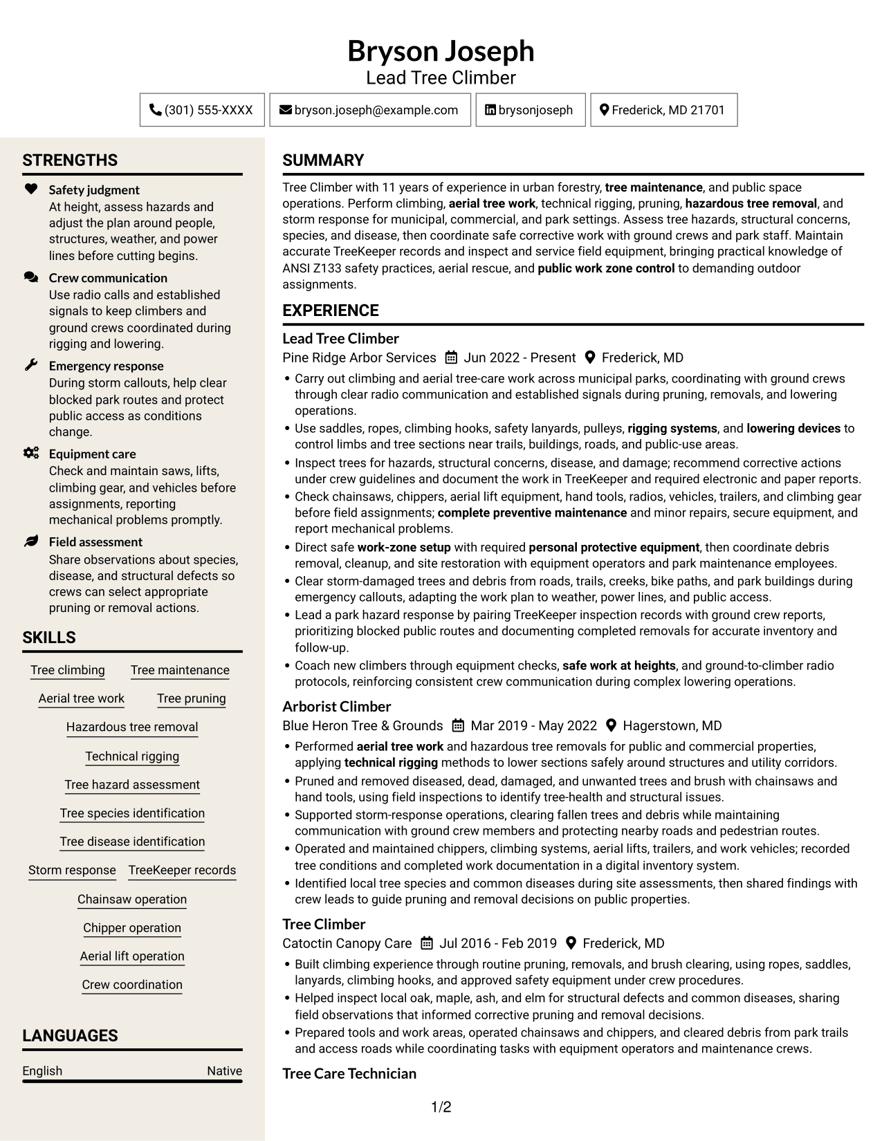 Resume example — page 1